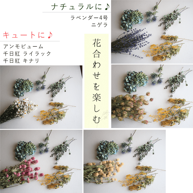 夏を楽しむドライフラワー4点セット * あじさい ミモザ 夏を楽しむドライフラワー4点セット * あじさい ミモザ