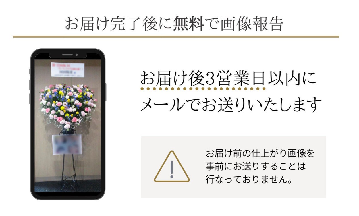 画像報告