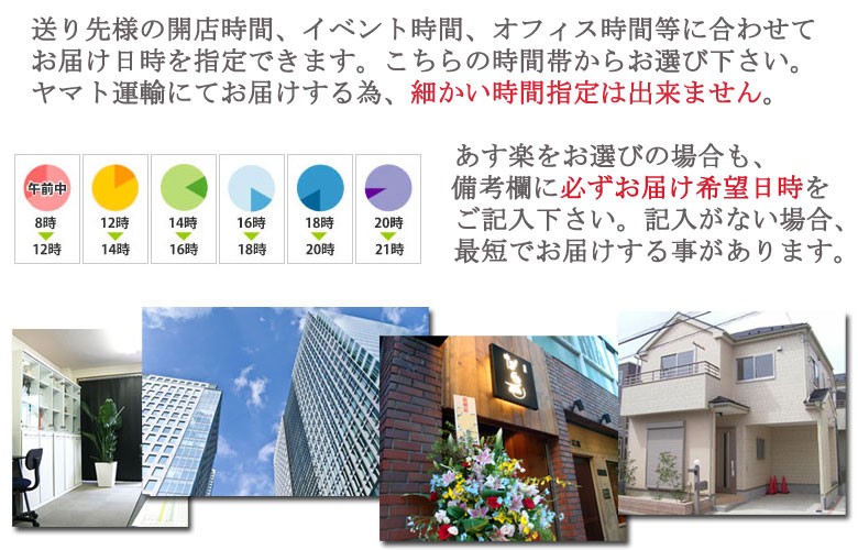 相手先様の開店日時、開業日時などお祝い日時に合わせて観葉植物をお届け