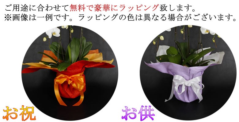 無料で用途に合わせてラッピングいたします