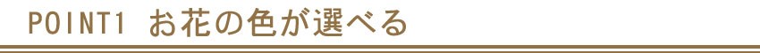 POINT1 お花の色が選べる