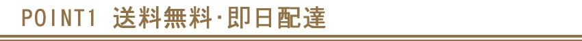 ポイント１ 全国へ 送料無料 即日配達いたします
