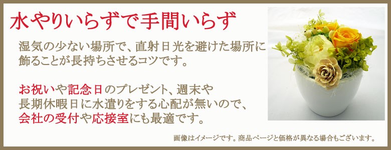 水遣り要らずで手間要らずのお祝い、記念日のプレゼント