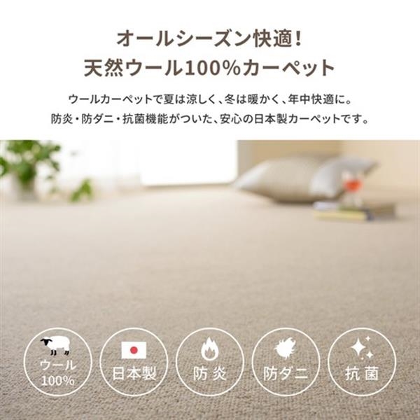 敷き詰めカーペット タフト 防炎 防ダニ 抗菌 日本製 「オペラ」ダーク