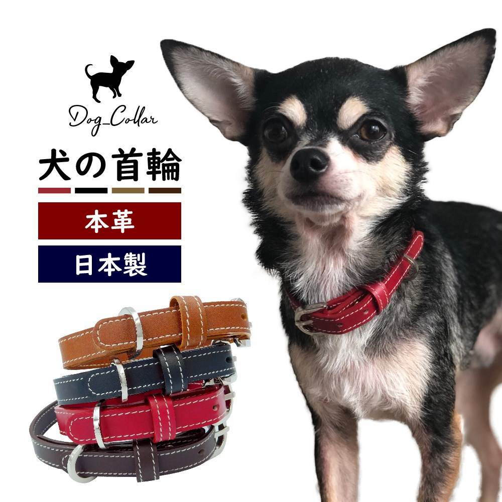 犬 首輪 おしゃれ 日本製 レザー 本革 チョーカー かわいい かっこいい おしゃれ 犬の首輪 小型犬 中型犬 ペット用品 犬用品 シンプル｜hanatora-japan