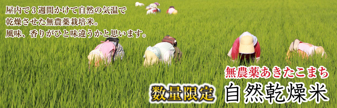 夏セール開催中 4kg 農薬 化学肥料無使用 自然乾燥米 令和4年産