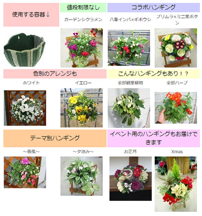 Amazon｜パンジー＆ビオラのハンギングバスケット 寄せ植え