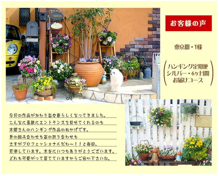 楽天市場】バスケット寄せ植え（鉢花｜花・観葉植物）：花