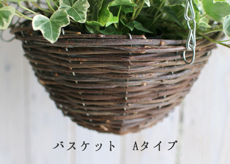アイビーの吊りカゴ寄せ植え」 : 花うるる(ハンギング&寄せ植え通販