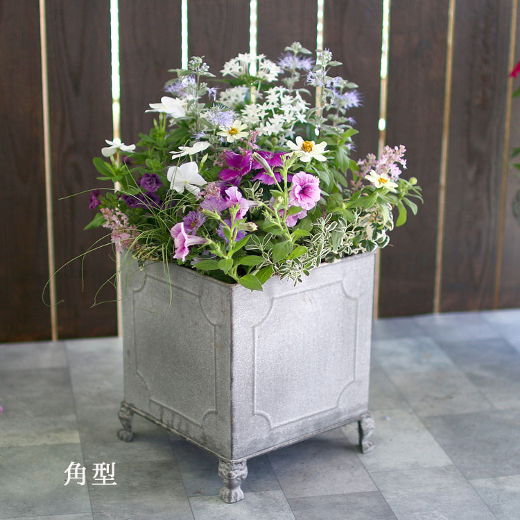 送料無料 おまかせ ブリキプランター 寄せ植え 選べる鉢3タイプ 鉢植え 花 ギフト 寄せ植え 玄関先 秋 冬 プレゼント 女性 新築祝い おしゃれ 花 鉢花 Yose Buriki Marukaku 花うるる ハンギング 寄せ植え通販 通販 Yahoo ショッピング 送料無料 おまかせ ブリキプランター 寄せ植え 選べる鉢3タイプ 鉢植え 花 ギフト 寄せ植え 玄関先 秋 冬 プレゼント 女性 新築祝い おしゃれ 花 鉢花 Yose Buriki Marukaku 花うるる ハンギング 寄せ植え通販 通販 Yahoo ショッピング