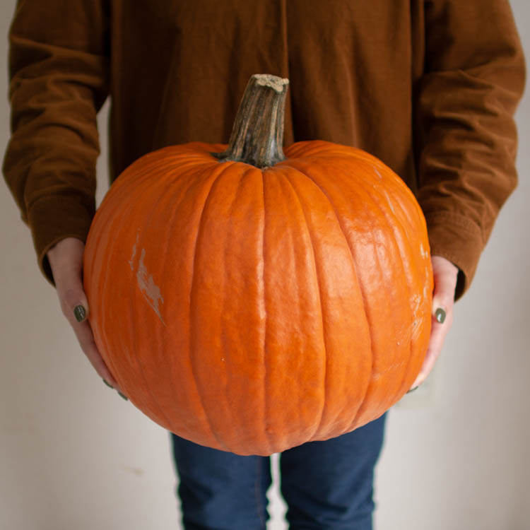 売り尽くしインパクト抜群／送料無料「ハロウィン用に 3Lサイズ 生