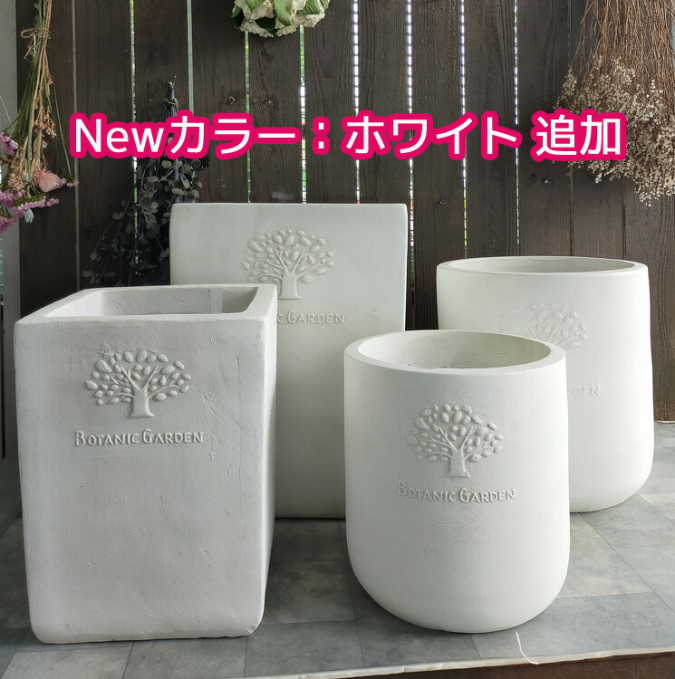 ユーカリ”ポポラス”の 花うるる 寄せ植え[ラグジュアリー ユーカリ”ポポラス”の 花うるる 寄せ植え[ラグジュアリー