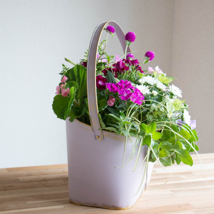 花うるる おまかせ／「季節の寄せ植えin ブリキ プランター (クリッス