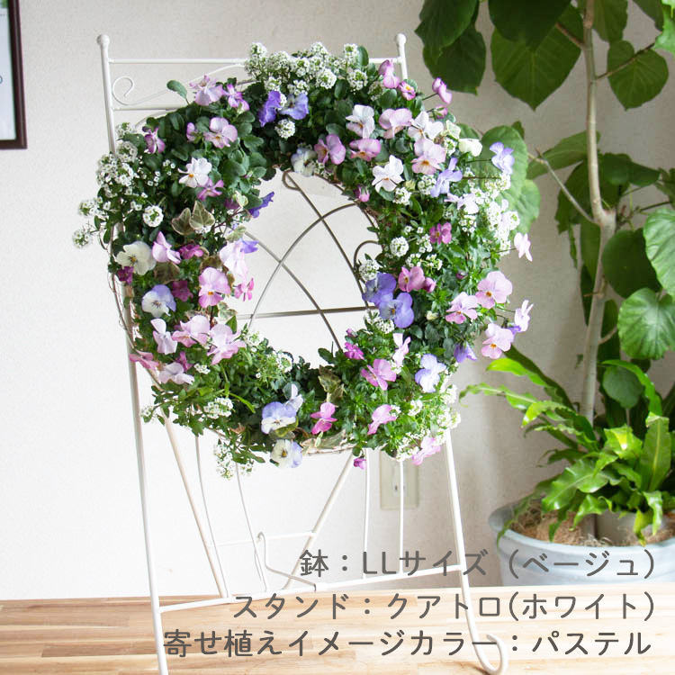 373　◆HIHANAちゃん専用◆お花のリース　400円 花うるる おまかせ／「季節の寄せ植えinシンプルリースLLサイズ」完成