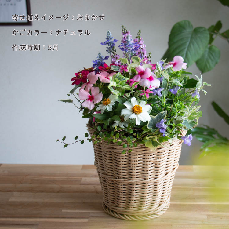 240524-2.jpg