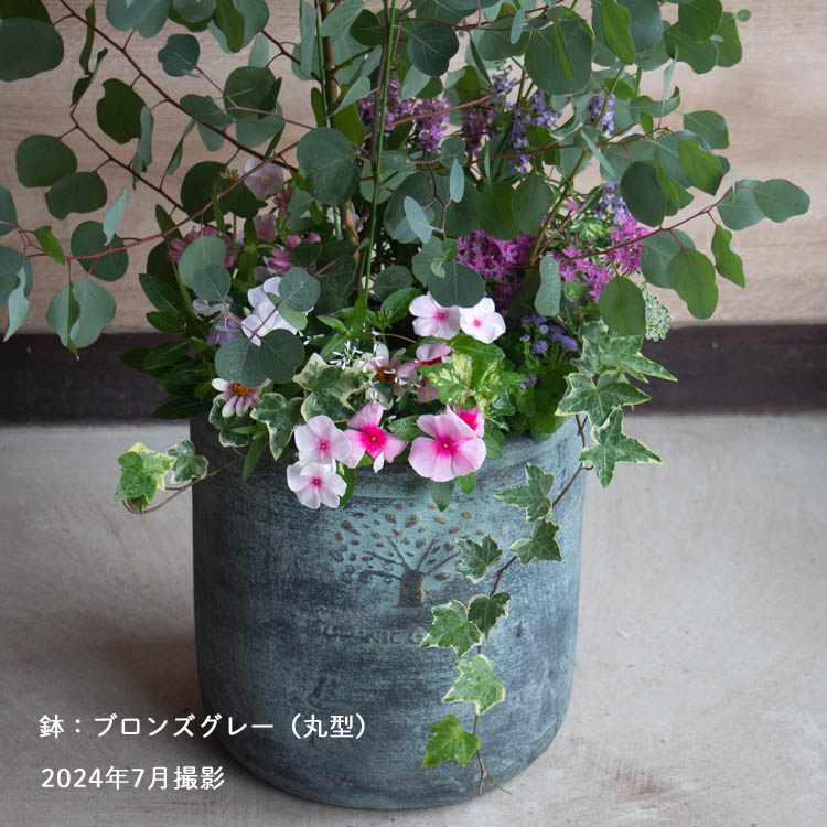 ユーカリ”ポポラス”の 花うるる 寄せ植え[ラグジュアリーコンテナ L]高さ110cm〜140cm( 鉢植え 観葉植物 屋外 開店祝い 開業祝い 店舗  玄関 シンボルツリー