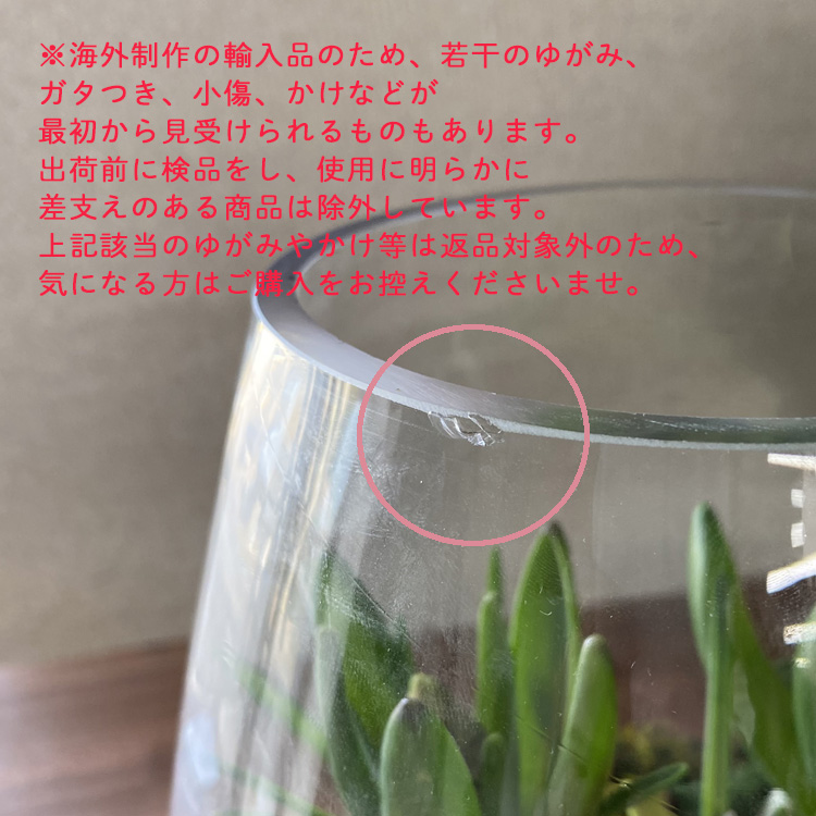 水耕栽培キット 芽出し球根おまかせmix ガラス付き「ラウンド 水耕栽培キット 芽出し球根おまかせmix ガラス付き「ラウンド