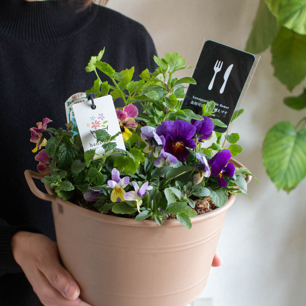 エディブル　ポット型