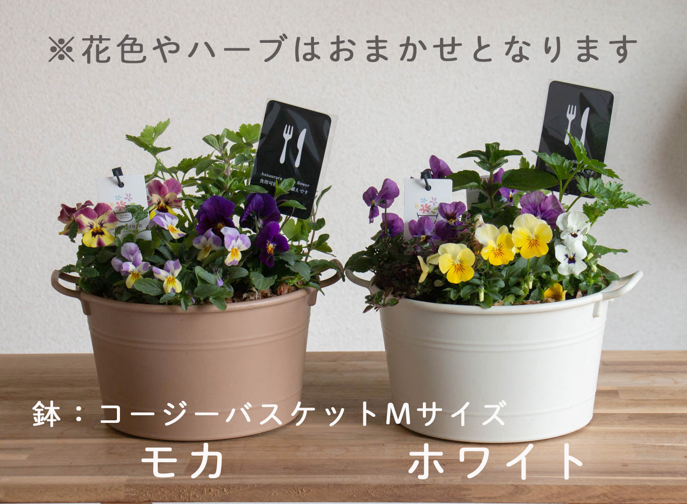 エディブル　ポット型