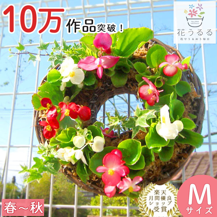ヒロニャン様 毎月定期便order オーバルリース・花籠ハンギングリース