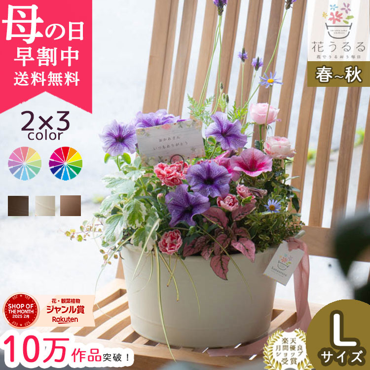 母の日のプレゼントにも♪ 寄せ植え 花□カーネーションの花束の