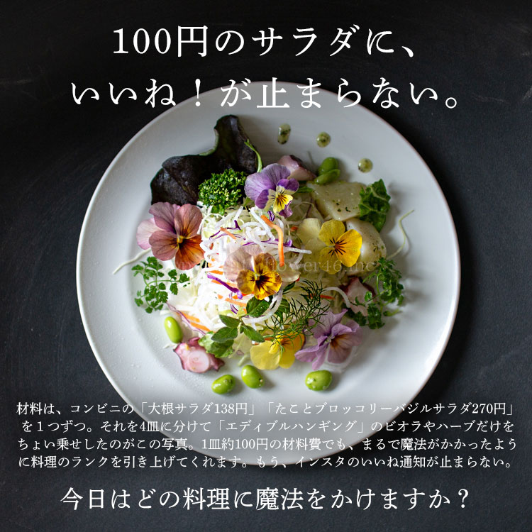 エディブル　ポット型