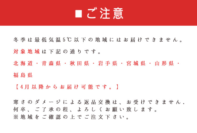 観葉植物冬季配達不可地域
