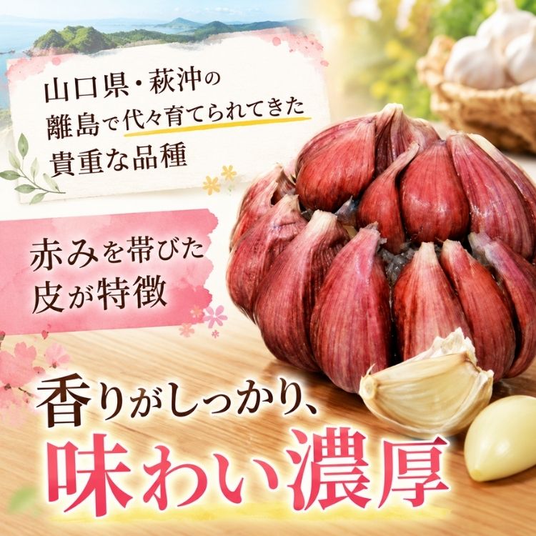 遅れてごめんね敬老の日ギフト／ 敬老の日にまさかのにんにく『赤丸