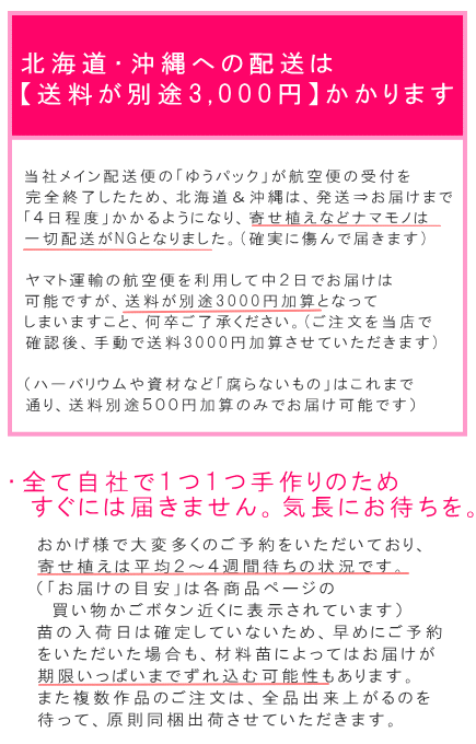寄せ植え配送注意