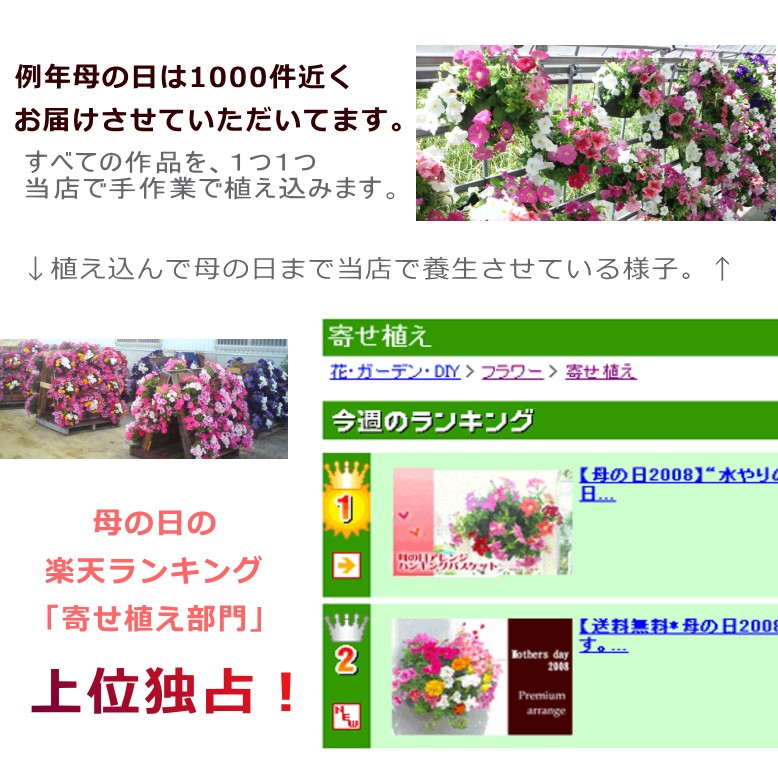母の日 寄せ植え おしゃれなハンギングバスケット ギャザリング ハーバリウム をギフトからご自宅用にも 花うるる