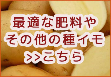 マツコの知らない世界で特集／『じゃがいも 種芋 種イモ』 長崎県産ホクホク「ニシユタカ 1kg」[検査合格済] 種 ばれいしょ ジャガイモ 種イモ  家庭菜園 苗 夏 : jaga-nishiyutaka : 花うるる(ハンギング&寄せ植え通販 - 通販 - Yahoo!ショッピング