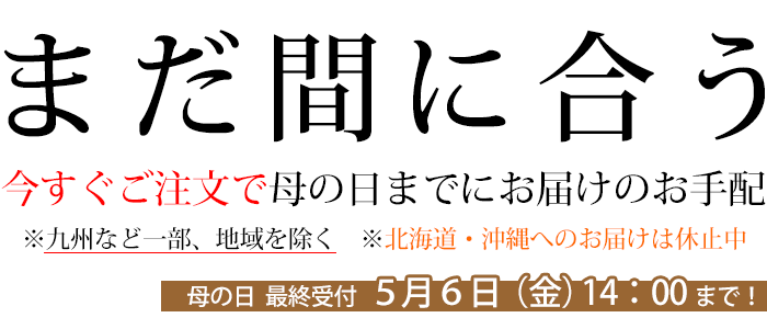 セール 伊達締め 1口4点まで あづま姿 ゆうメール可 シャーリング 全3色 人気のクリスマスアイテムがいっぱい！ あづま姿