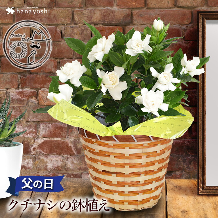 フラワーマーケット花由 父の日ギフト21