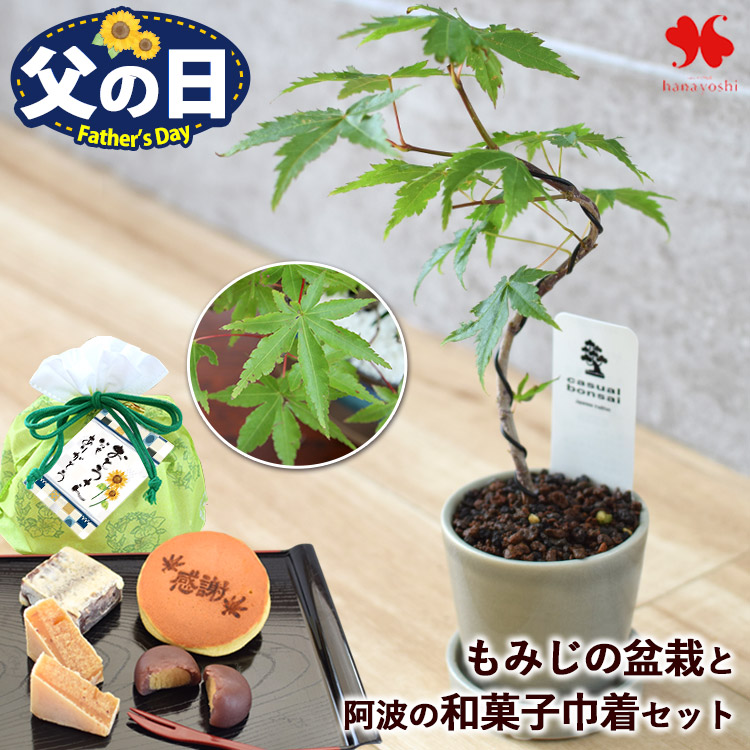 MAYUKI ブーゲンビリア　 2点セット‼️ ブーゲンビリアのおすすめ人気商品一覧 通販 - Yahoo!ショッピング