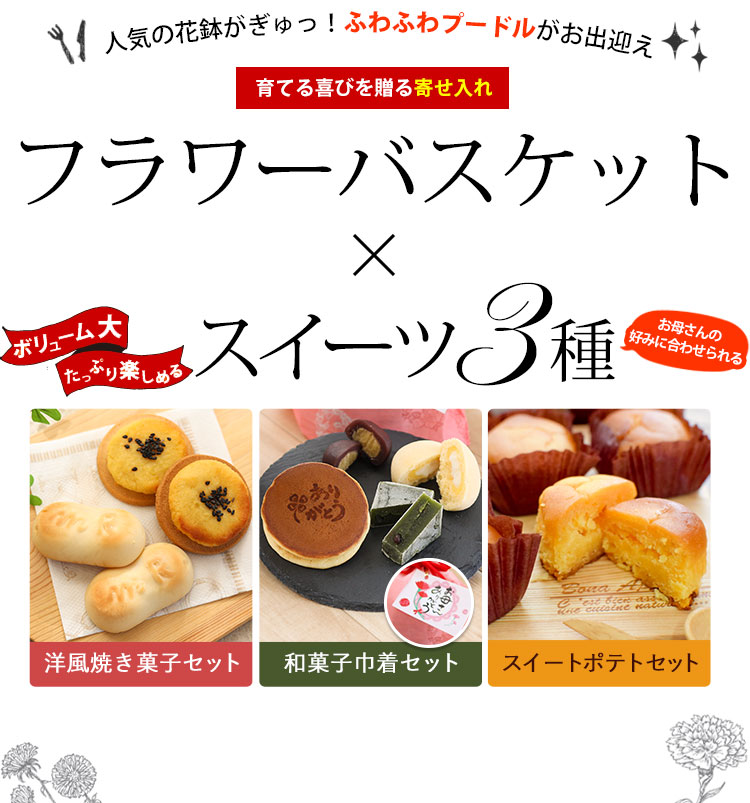 1069円 [宅送] イルローザ マンマローザ 24個入 焼き菓子 スイーツ ギフト 贈答