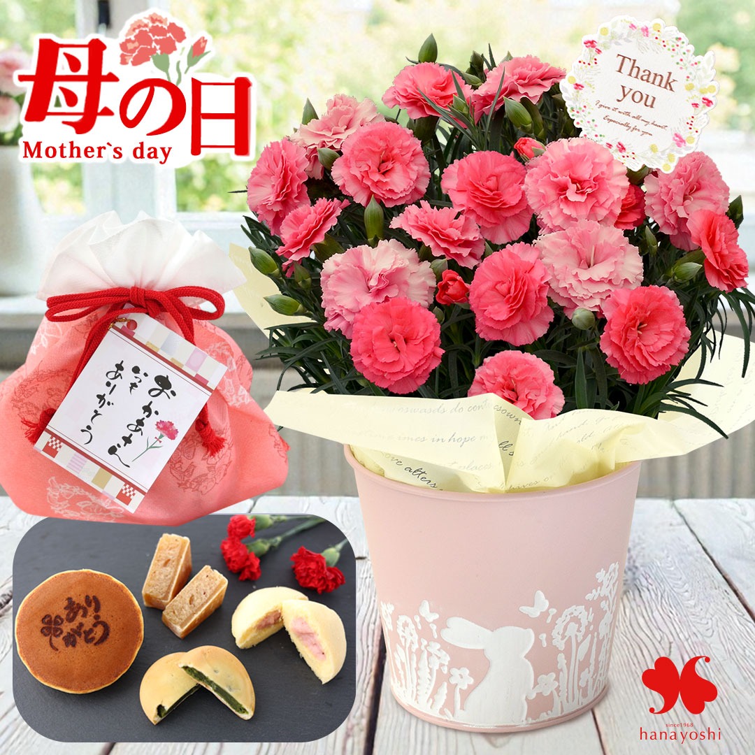フラワーマーケット花由 遅れてごめんね 母の日 2026 花 花とスイーツ
