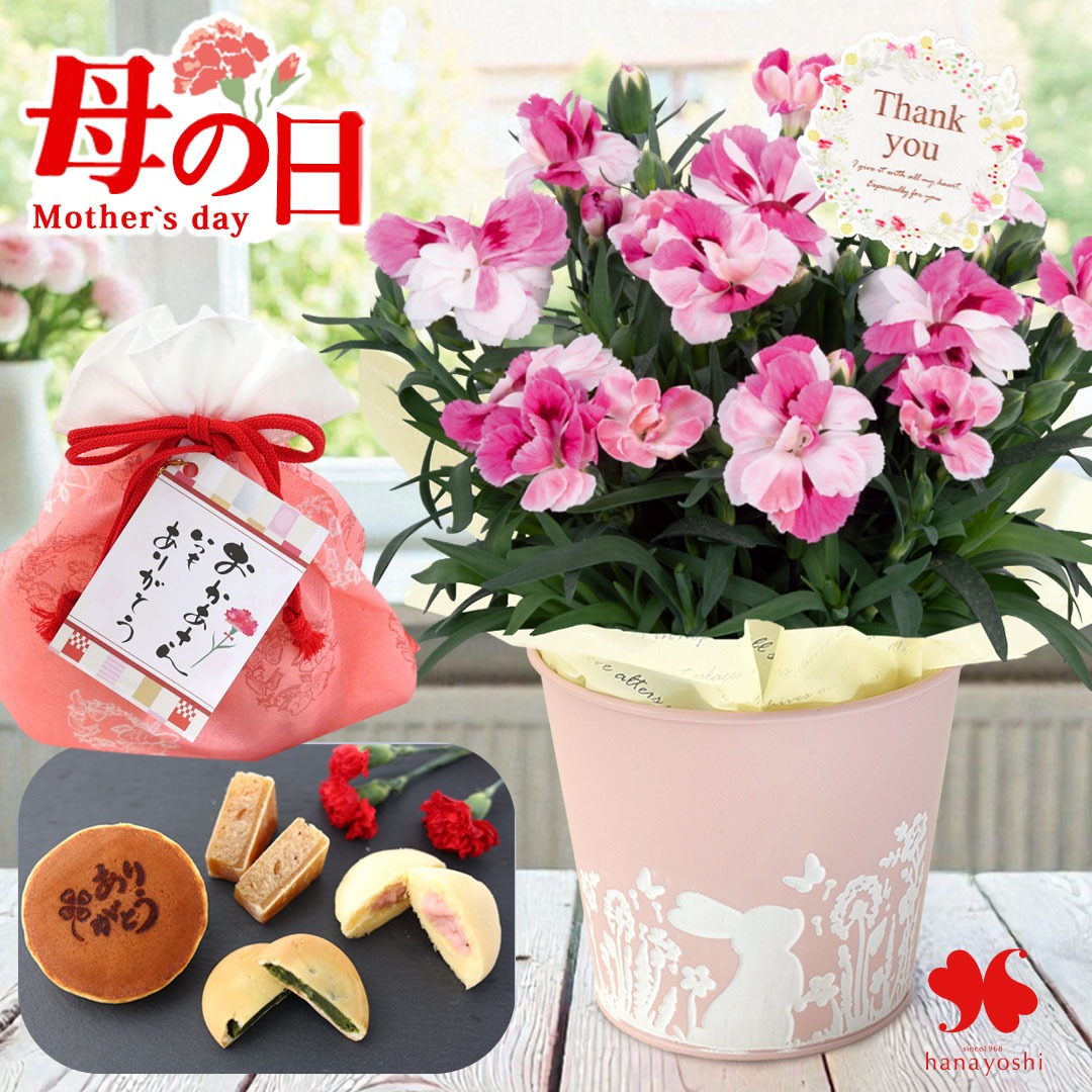 フラワーマーケット花由 遅れてごめんね 母の日 2026 花 花とスイーツ