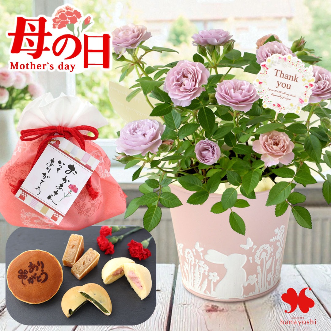 フラワーマーケット花由 遅れてごめんね 母の日 2026 花 花とスイーツ