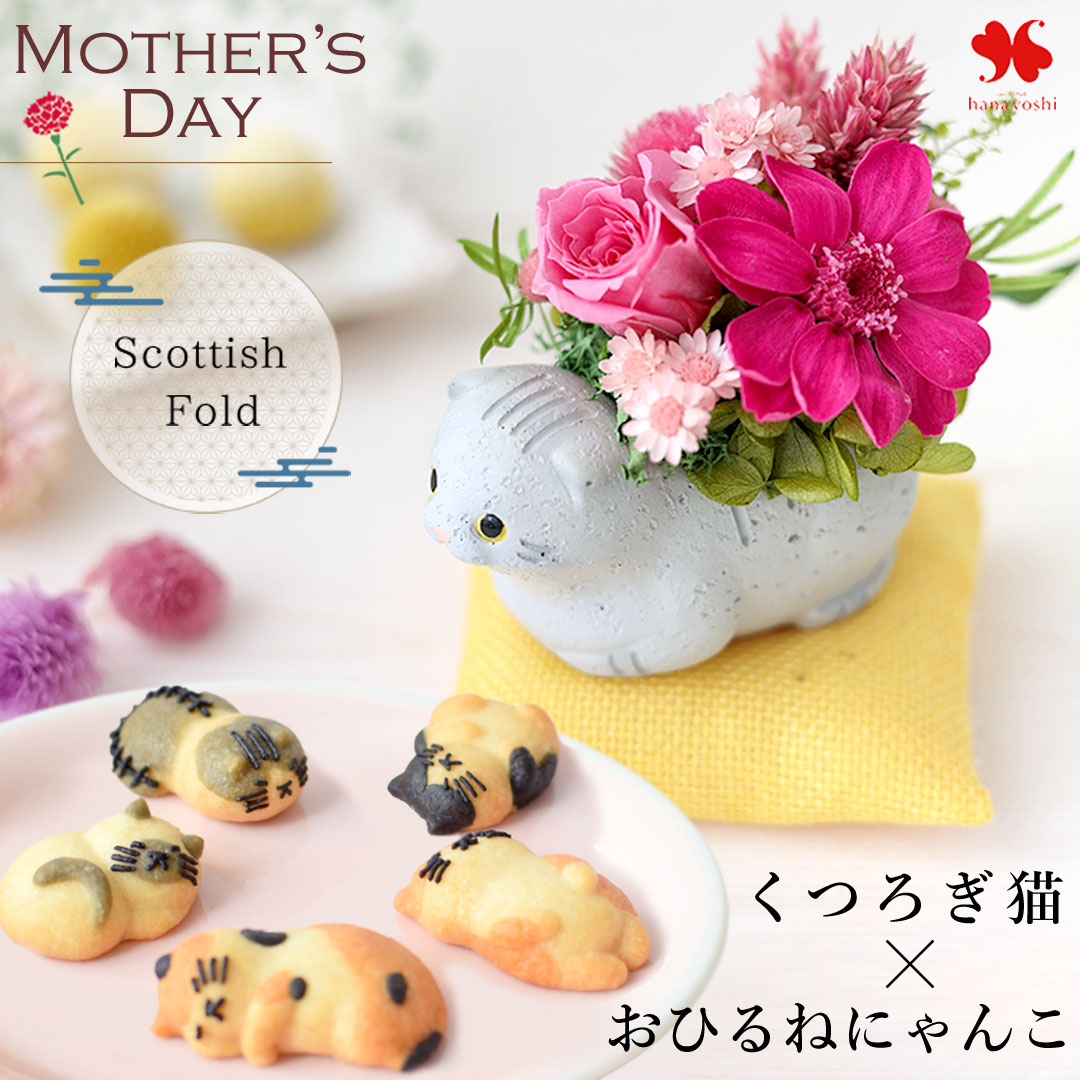 フラワーマーケット花由 遅れてごめんね 母の日 花 スイーツ 2026