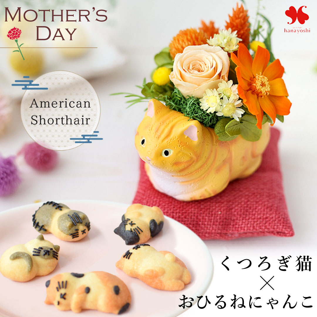 フラワーマーケット花由 遅れてごめんね 母の日 花 スイーツ 2026