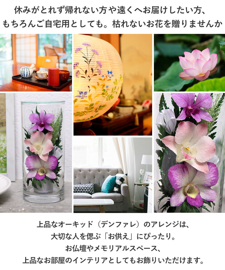 ファッション通販 お供え 仏花 グラスウェアフラワー オーキッド グラスm ドライフラワー お悔やみ 花 お盆 初盆 新盆 贈り物 一周忌 命日 法事 お供え物 供花 秀逸