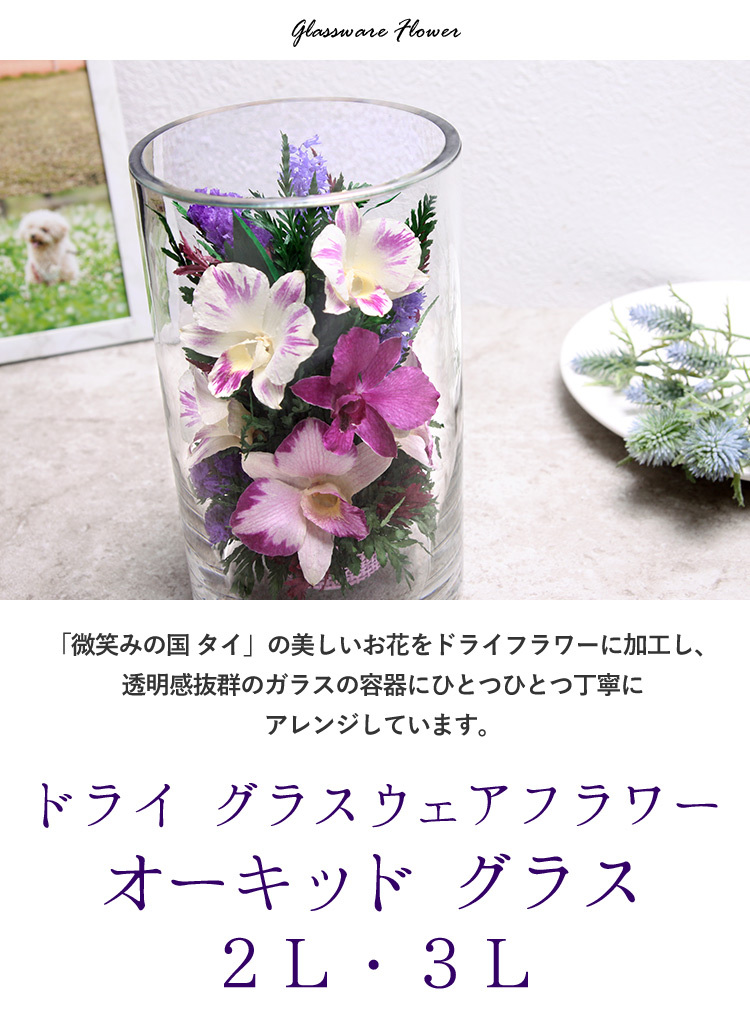 68 Off 送料無料 お供え 仏花 グラスウェアフラワー オーキッド グラス2l もしくは 3l ドライフラワー 仏壇用 供花 アレンジメント お悔やみ 一周忌 命日 Riosmauricio Com