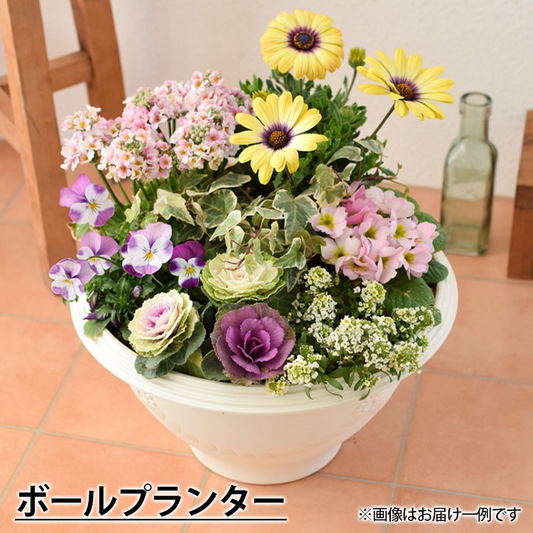フラワーアレンジメント 季節の花々 鉢植えセット フラワーマーケット花由 プランターが選べる 季節のおまかせ寄せ植えM