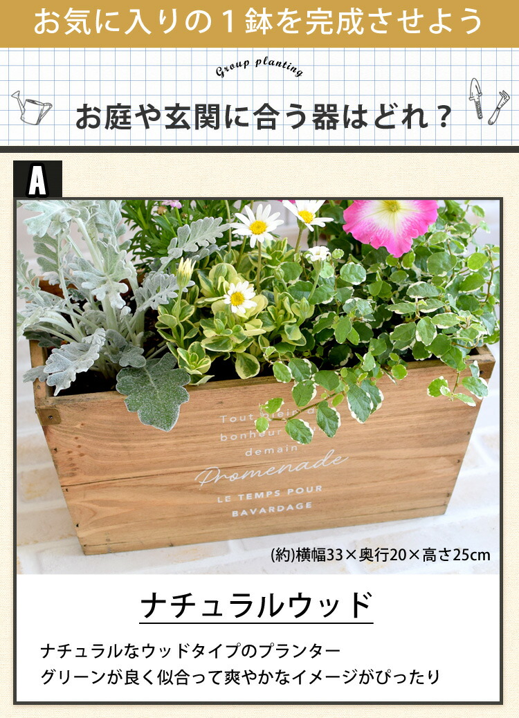 お花が溢れるバスケット型の寄せ植え 季節の寄せ植え 鉢植え おしゃれ 華やか かわいい 苗 プレゼント 寄せ植え