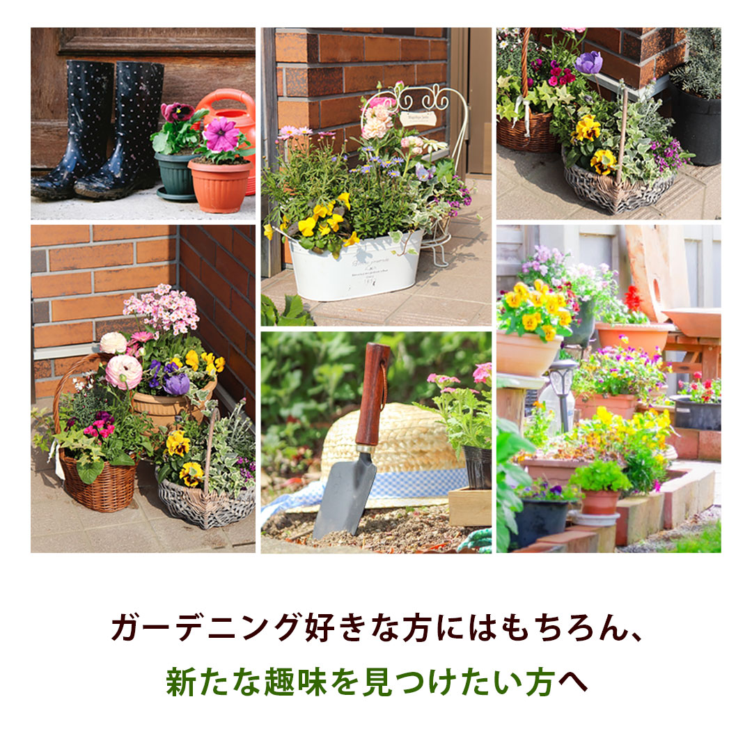 フラワーマーケット花由 1鉢分の寄せ植えキット 花苗 8号 花苗セット