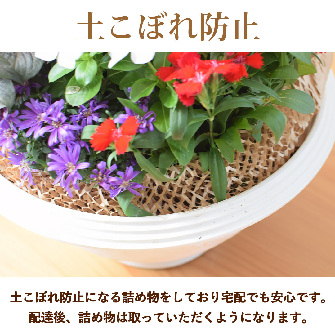 フラワーマーケット花由 プランターが選べる 季節の寄せ植え そのまま