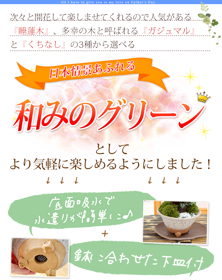 期間限定 選べる創作盆栽 ガジュマル 多幸の木 睡蓮木 くちなしの盆栽 人気上昇中 盆栽 花 植木 プレゼント 植物 ギフト 誕生日 29 7 6 31まで指定可