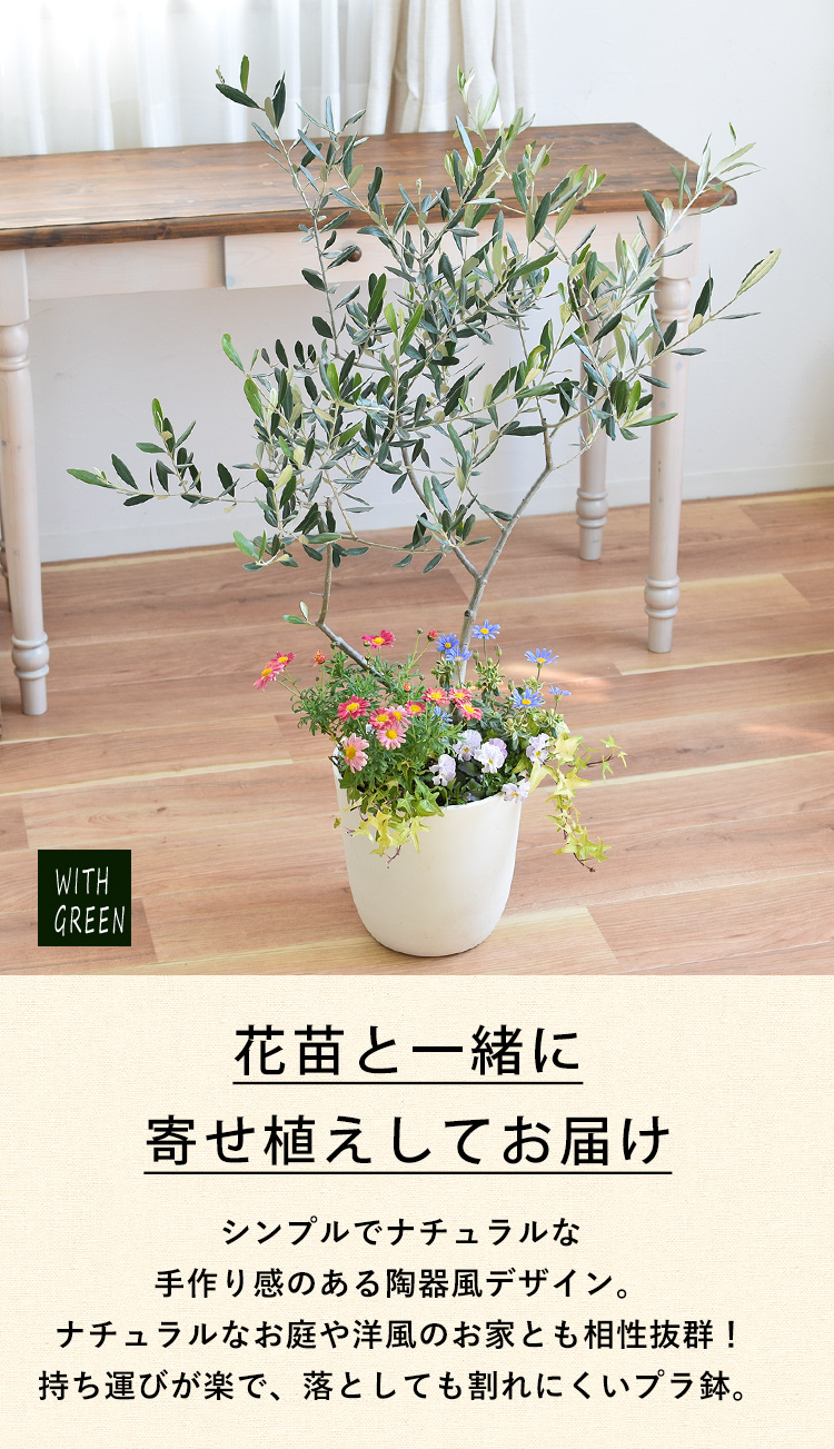 フラワーマーケット花由 鉢植え 花由がお届けする 鶴亀園の香川