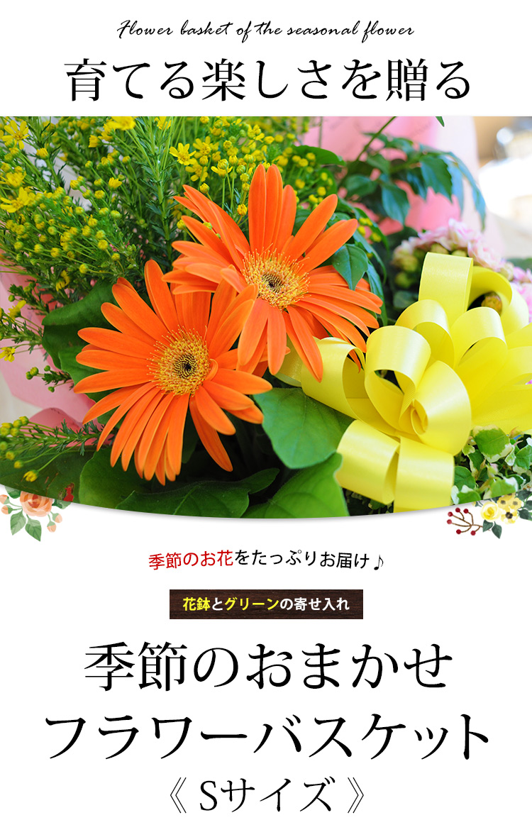 画像配信サービス 季節のお花の花鉢やグリーンの寄せいれ ギガランキングｊｐ