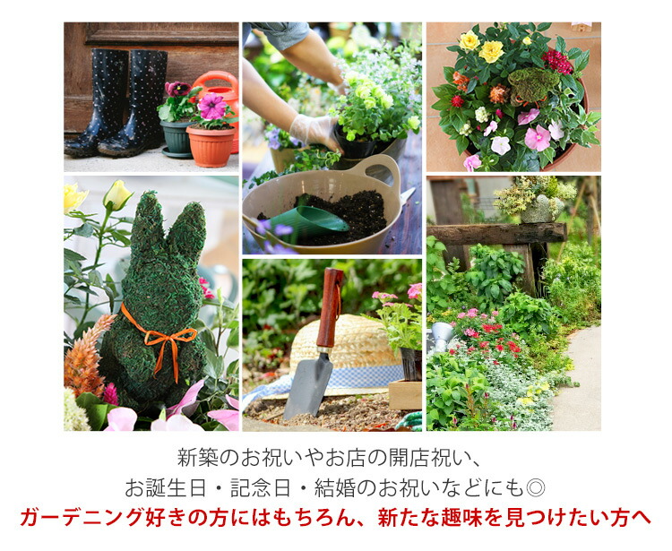 ファッション好きが選ぶ人気ブランドランキング 寄せ植え 花